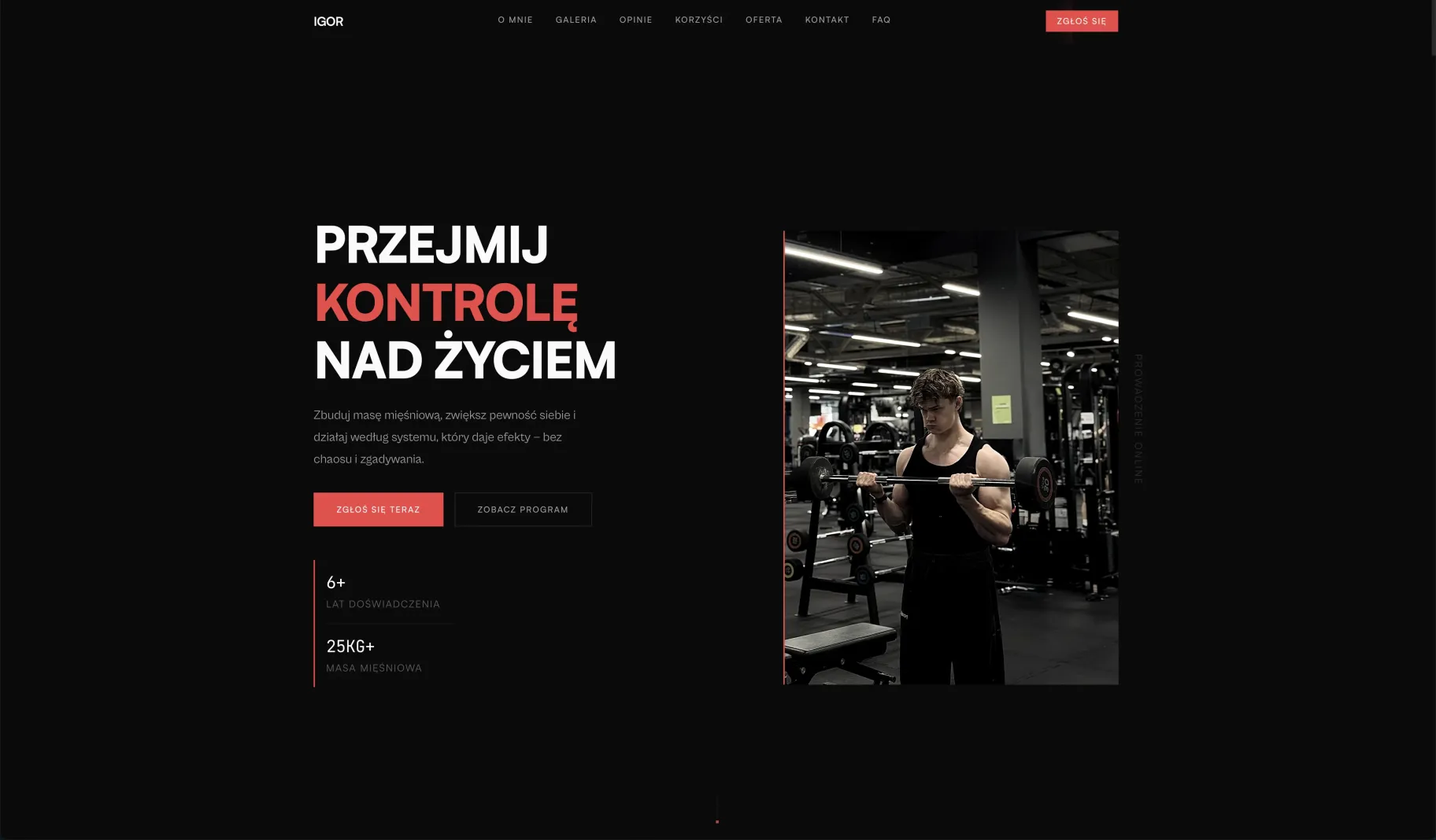 Podgląd strony Igor Sobierajski
