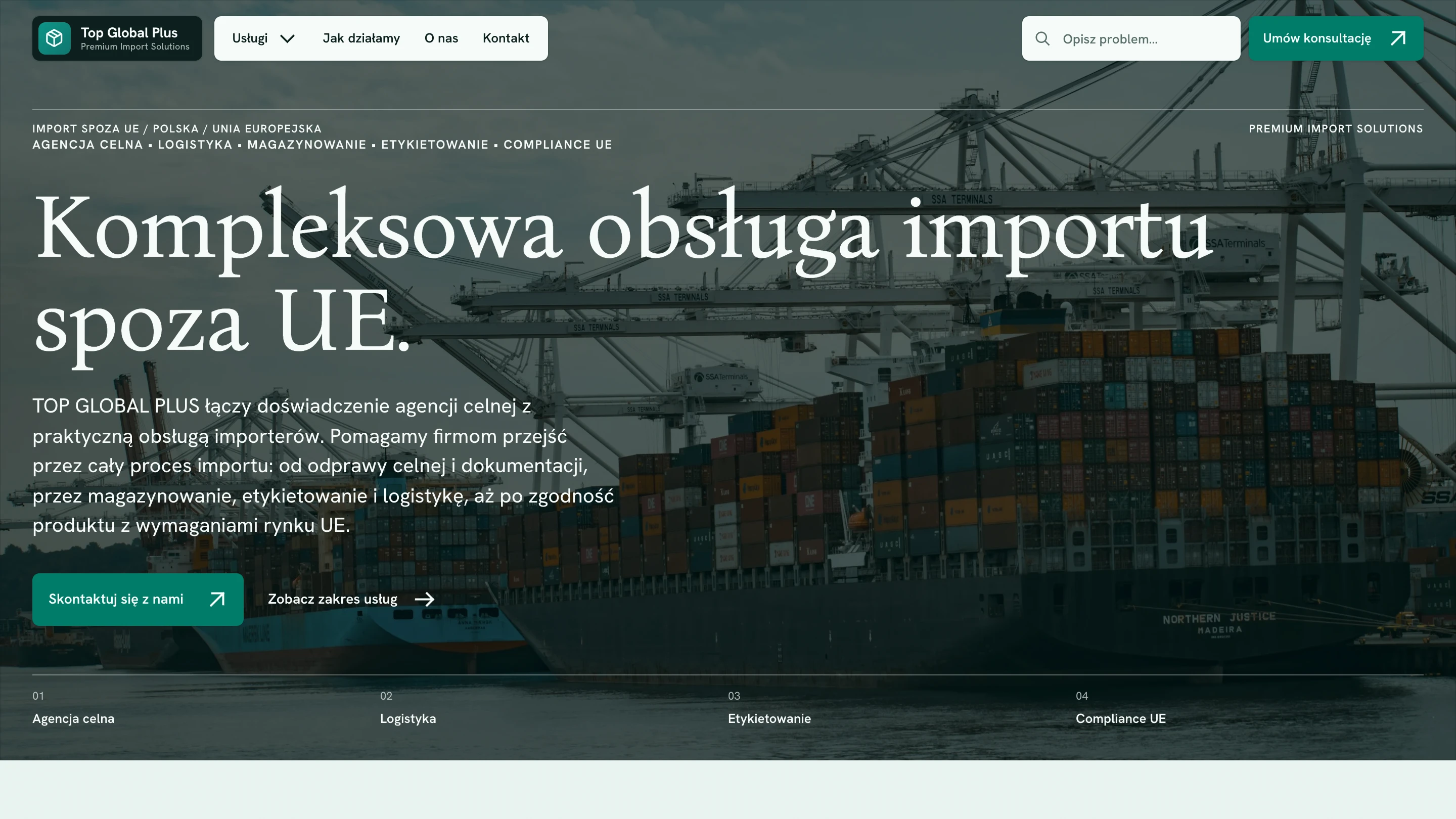 Podgląd strony TopGlobalPlus